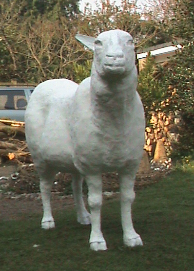 original Cardigan Fields sheep